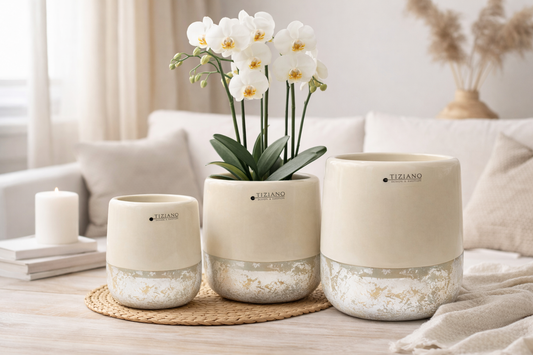 Tiziano Vase Sivali Gr.12 / 14 / 16 cm – Creme Silber Neu